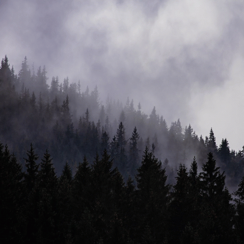 Bartosz Ogrodowicz : Film Score